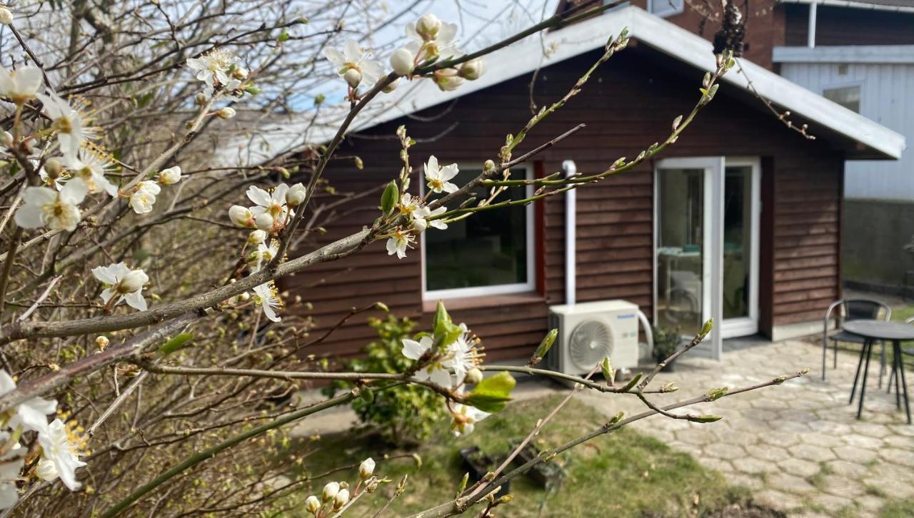 Vila Cozy House With A Graden View Herlev Exteriér fotografie