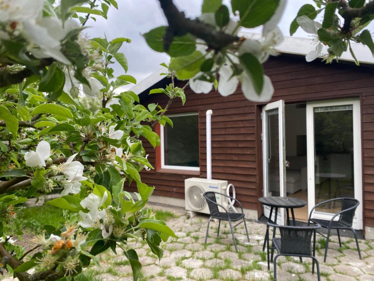 Vila Cozy House With A Graden View Herlev Exteriér fotografie